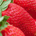 Free Food Stock Images