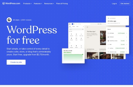 WordPress AI